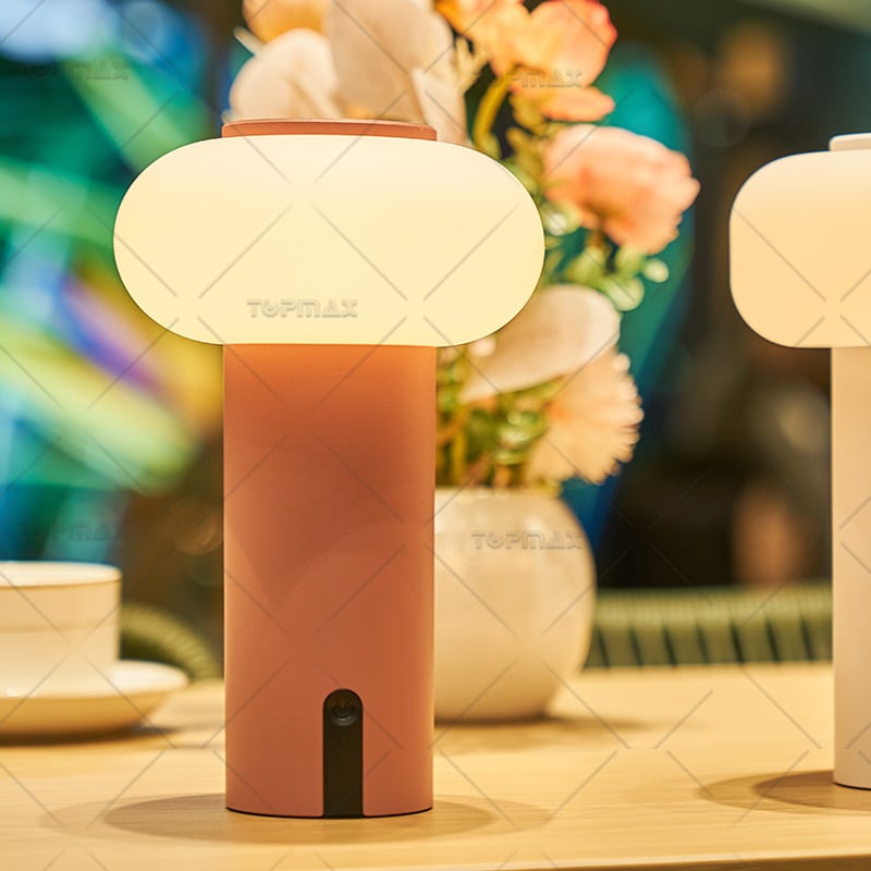 PE Modern Table Lamp Alum Stepless Dimming LED Table Light 91514F2