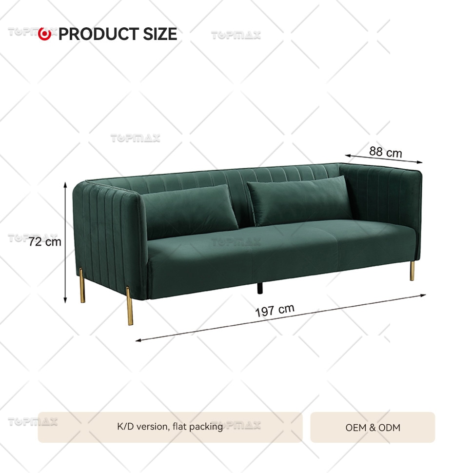 Living Room Sofa Fabric Modern 3 Seater Sofa with Two Pillows 72425-3