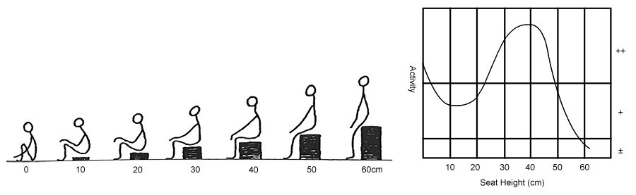 Different Sitting Heights and Lumbar Mobility